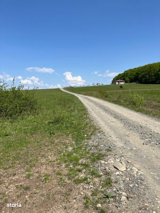 Parcela teren  600 mp Tocile Sadu