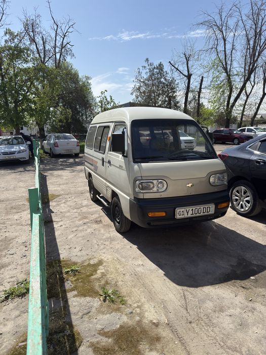 Damas 2014-yil qaymoq rang