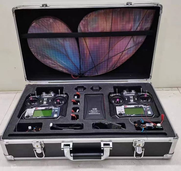 Хит бабочка 2026