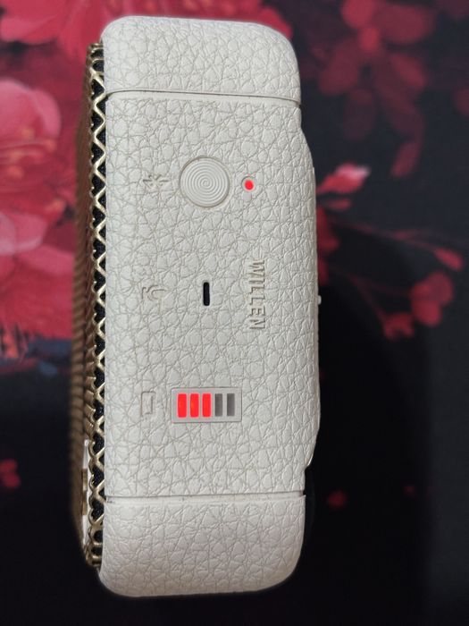 Портативная колонка Marshall Willen