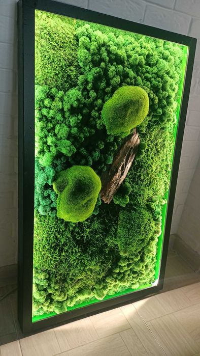 Картина из стабилизированного мха