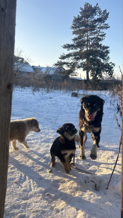 Молоденькая девочка