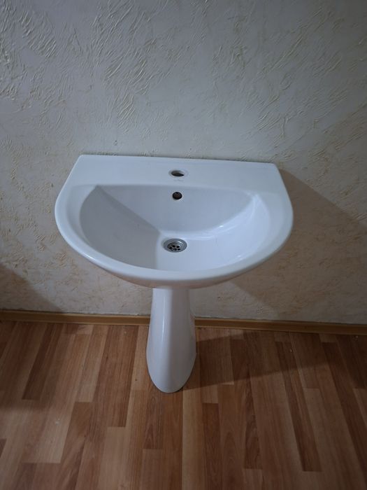 Раковина и тюлпан