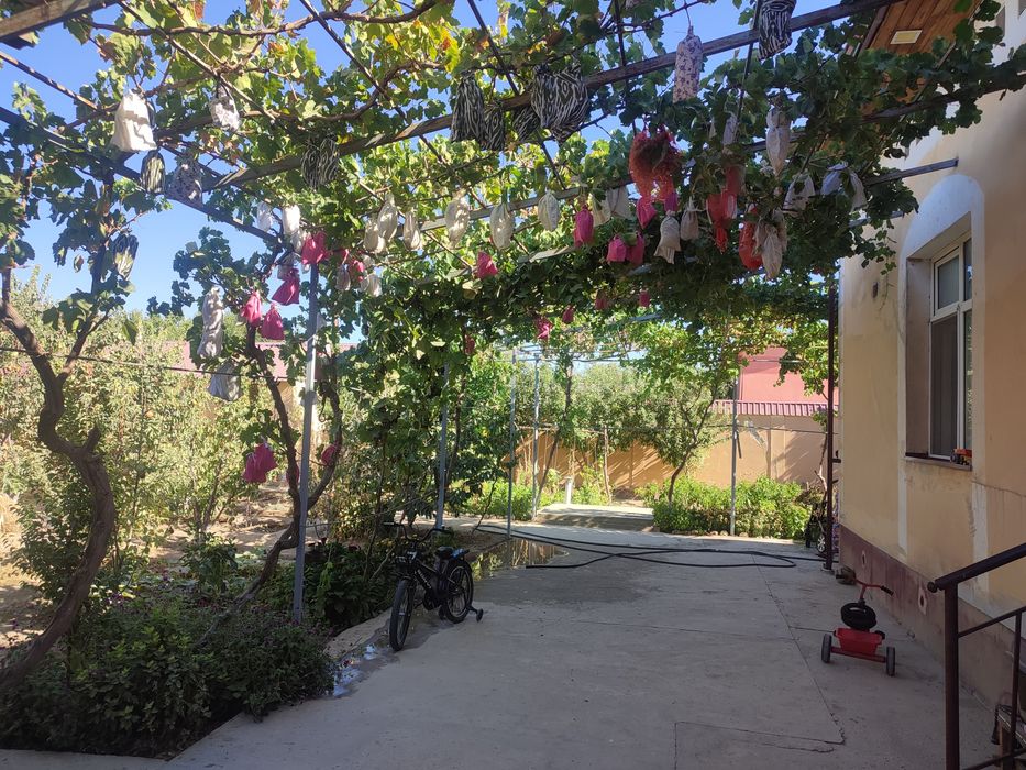 Дустлик коттедж 2014