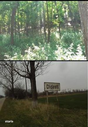 Teren Didesti, ID: R2058941