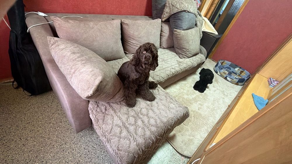 Отдам диван (самовывоз)