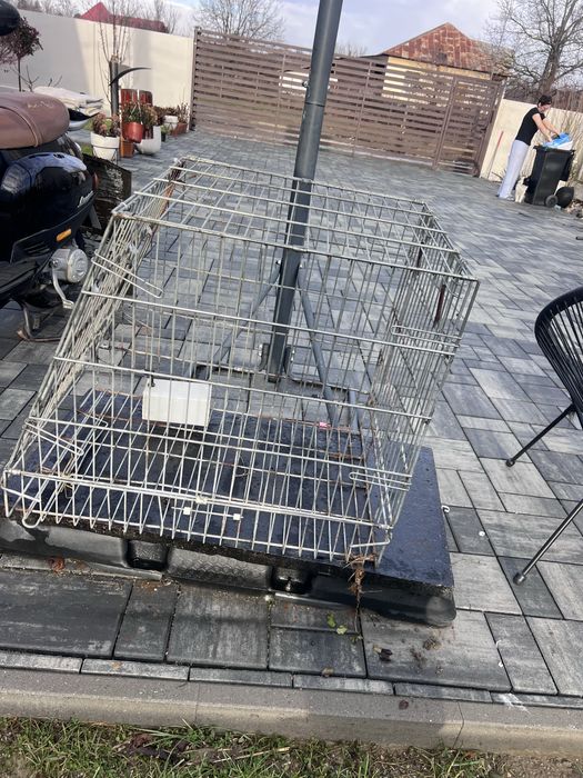 Cusca pliabila animalute, destul de incapatoare