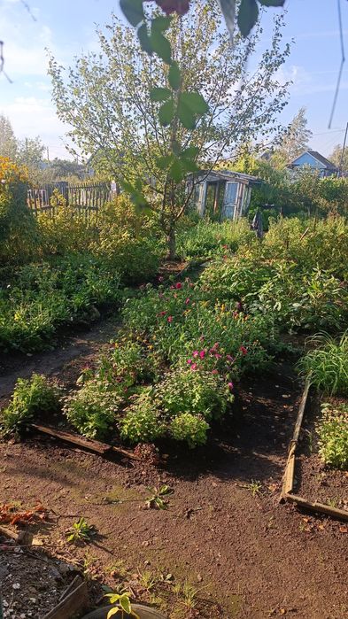 Продам дачу, общество Борки