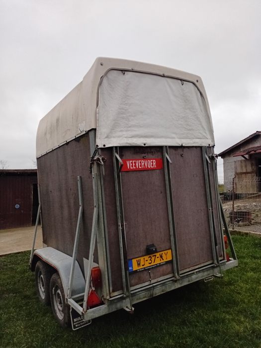 Remorcă Henra de vânzare!