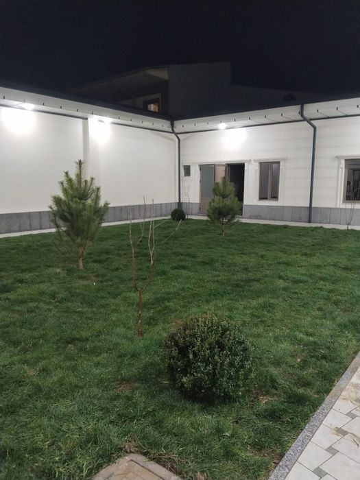 Gazon Mikrikilimit setka hizmat bor