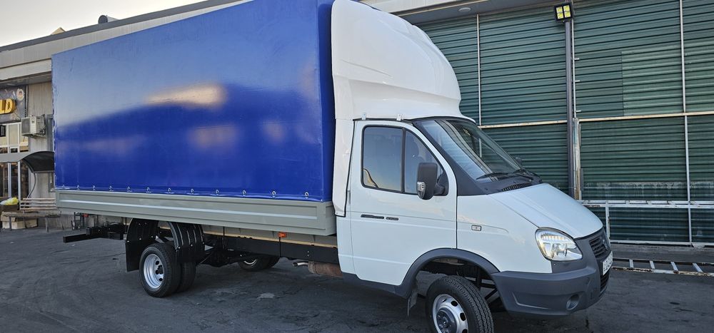 Газель яегитани яиглган2017