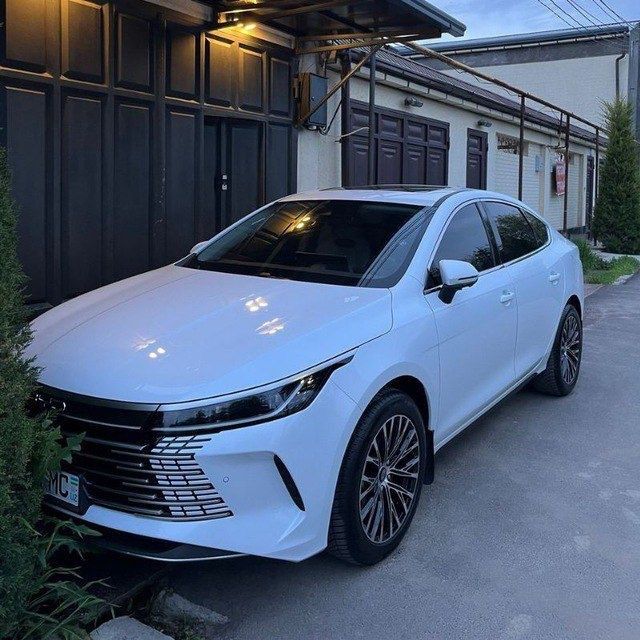byd chazor GIBRID