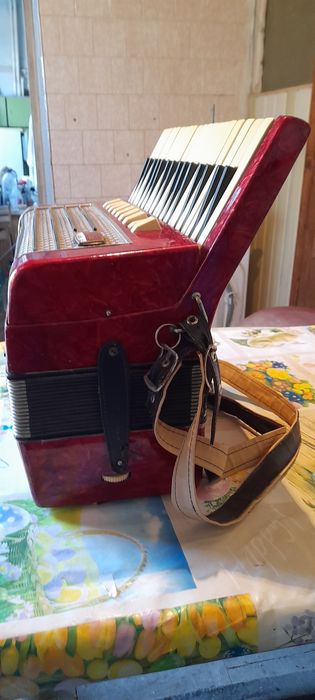 Acordeon Timis Balada 48 Bași