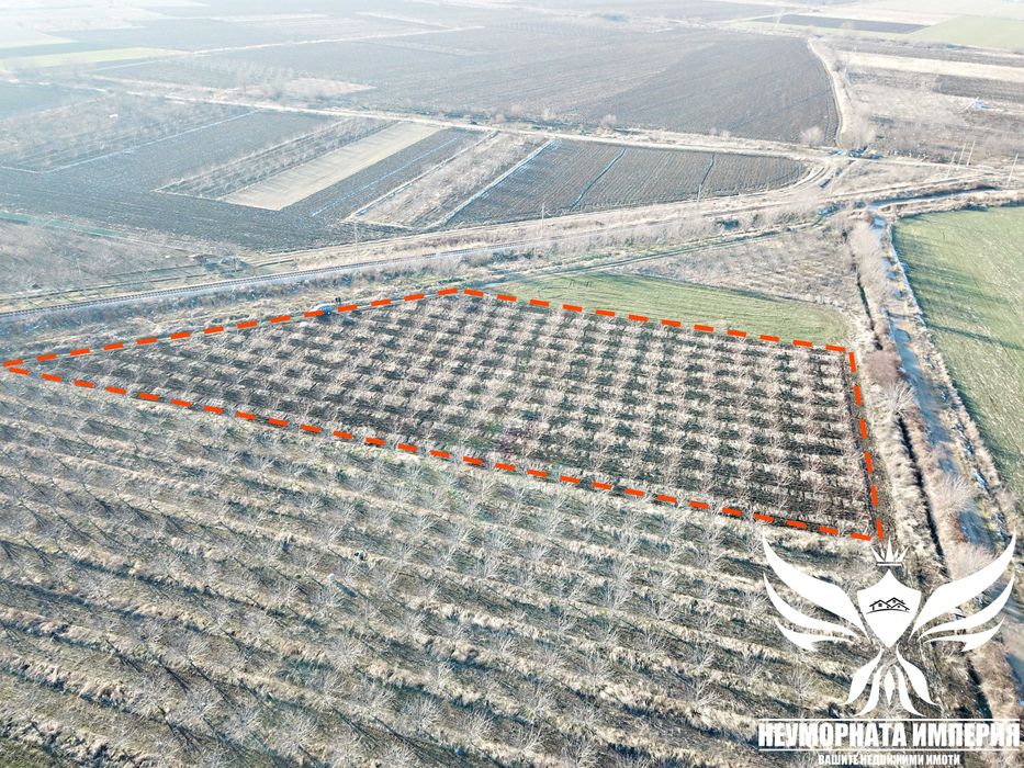 Продавам черешова градина 5800кв.м. в гр.Асеновград