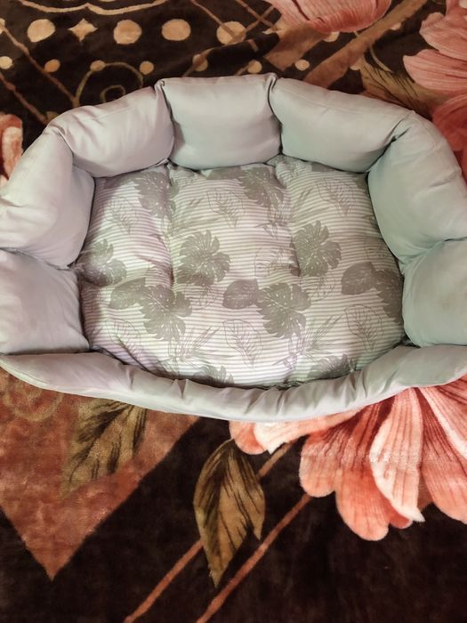 Accesorii catei talie mica