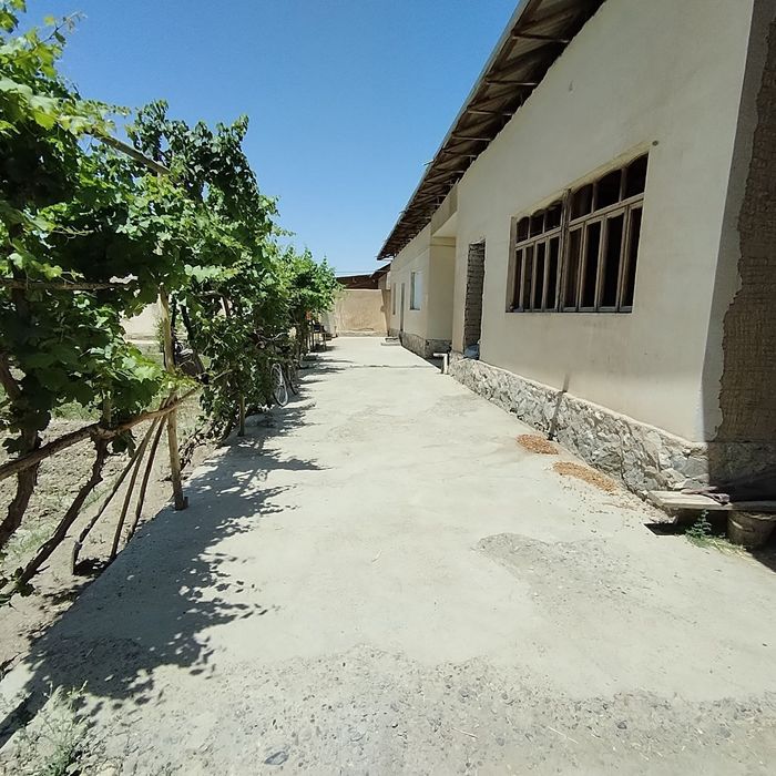 Нарпай 3. Ховли сотилади 370 млн