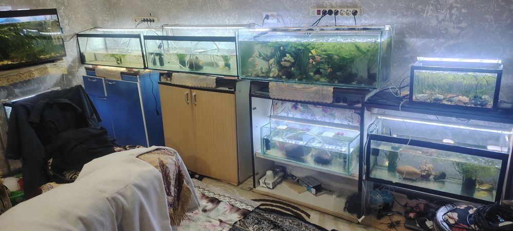 Аквариумы по Акции, арзон, дёшево