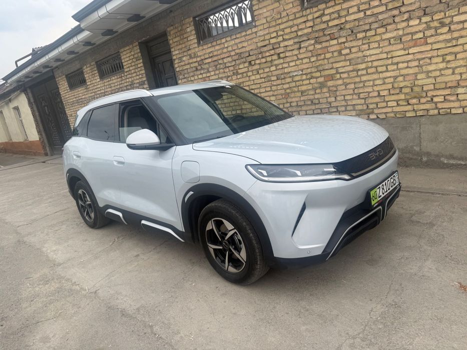 yuan up byd 2025