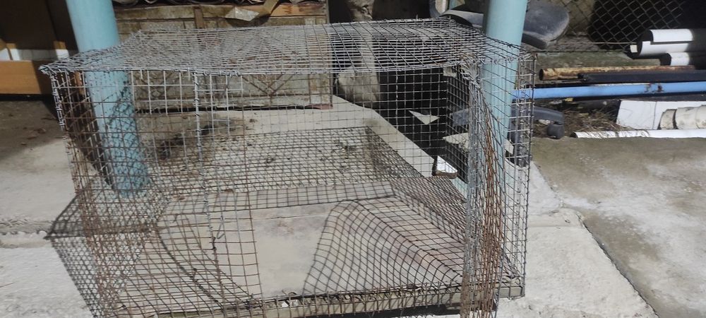 Клетка для животных