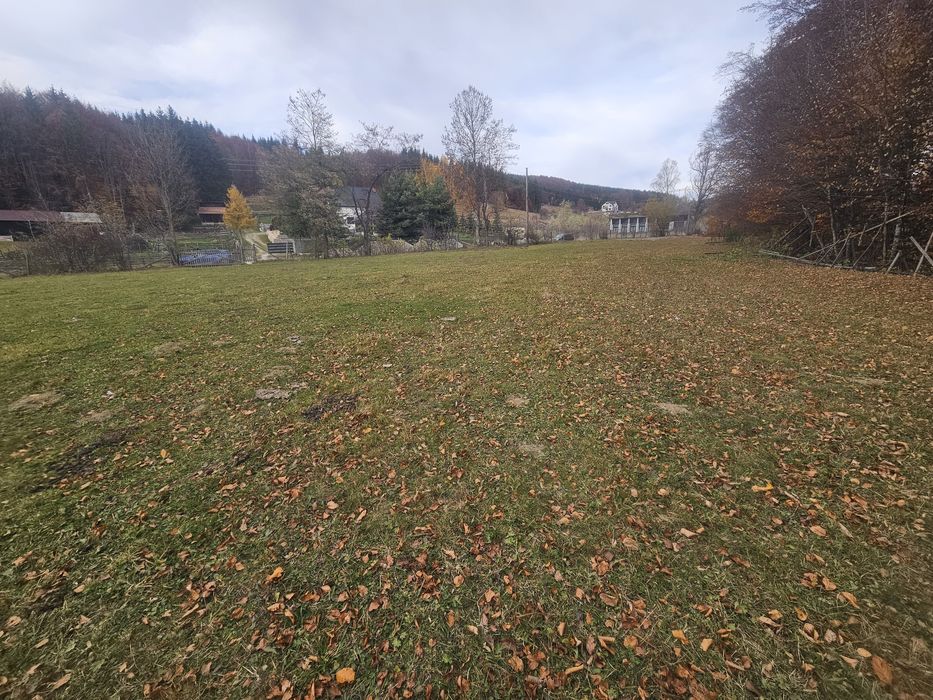 Teren  Valea Doftanei