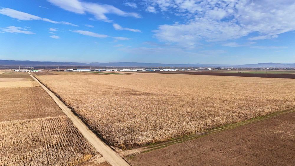 Teren 32,5 Ha compact Prejmer, Brasov. Imagini drona,tur/360