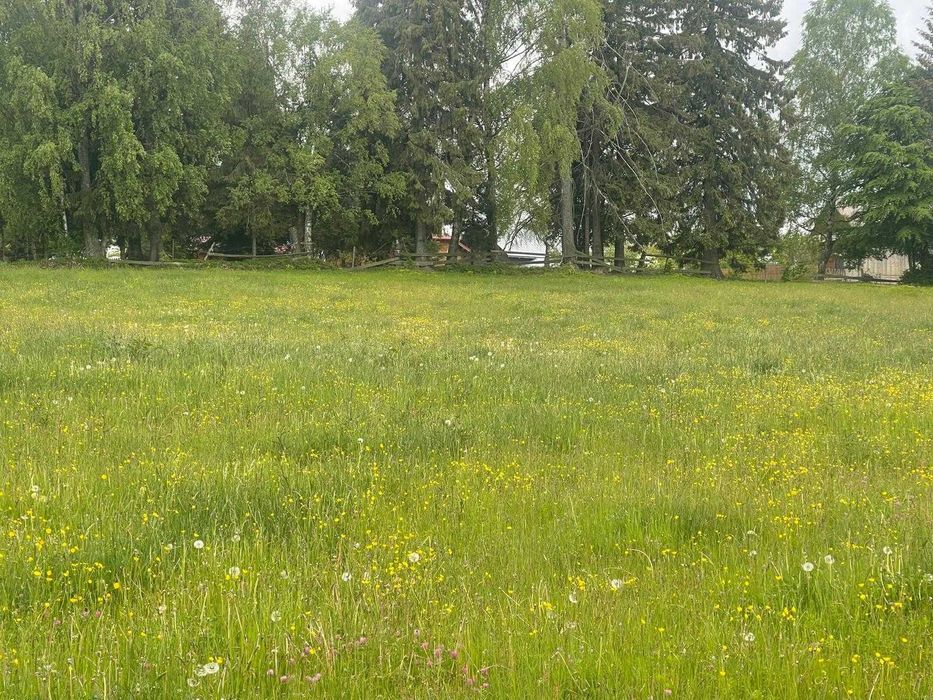 Teren intravilan 1000MP Calatele Padure Jud. Cluj