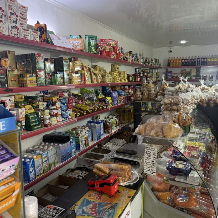 Продам дом с бизнесом