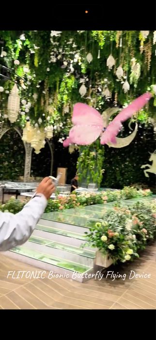 Летающие волшебные бабочки