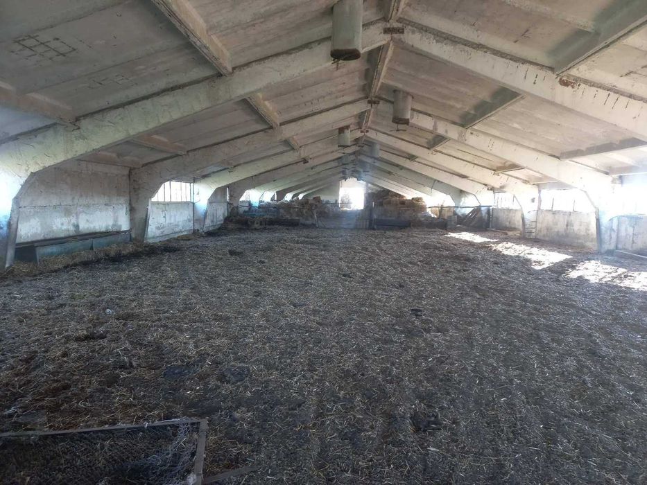 Продава се Склад в Добрич, Добротица - Албенска - 1100 кв.м за 56 €/кв.м - Снимка #5