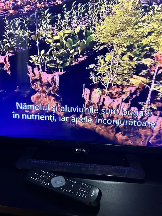 Televizor LED Philips 80 cm