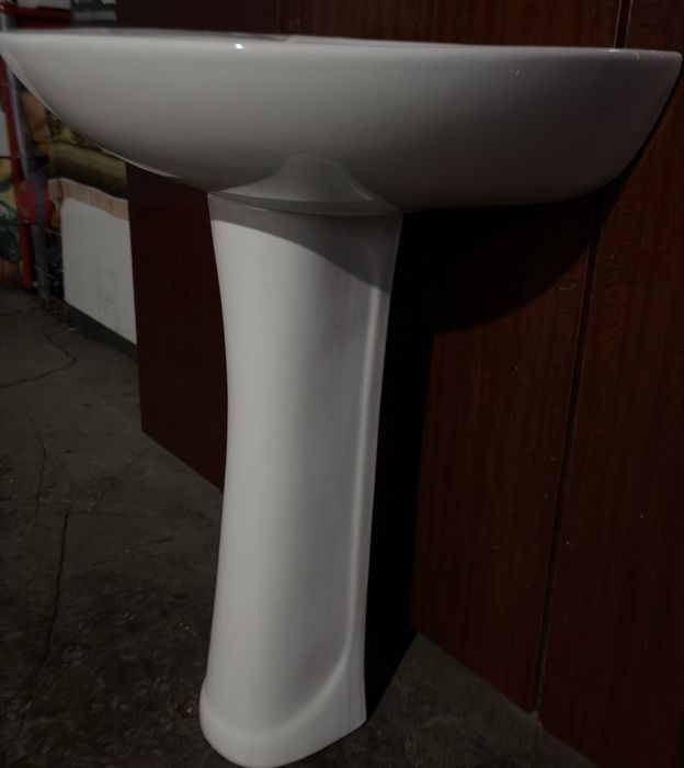 Раковина тюльпан