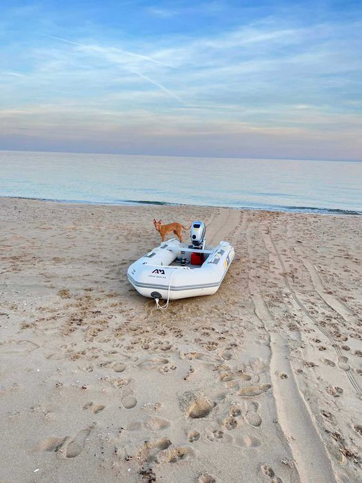 Продавам надуваема лодка AQUA MARINA с бензинов двигател Honda BF6DH