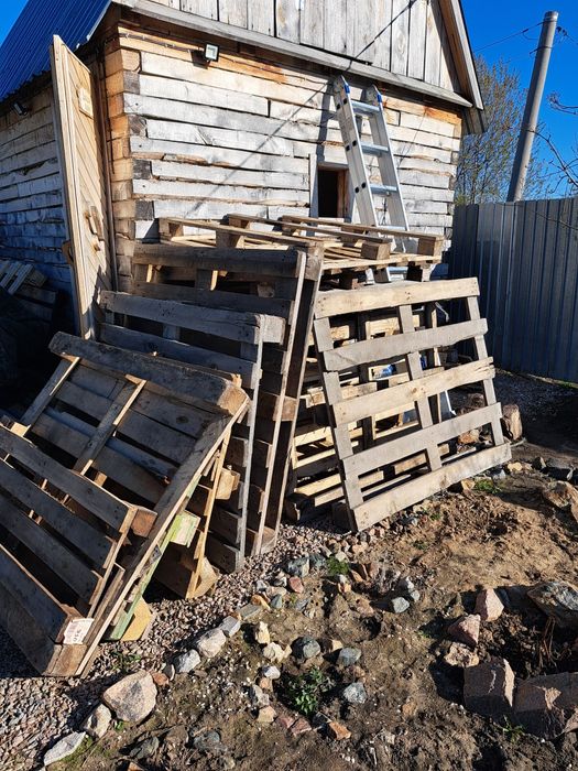 Продам поддоны .