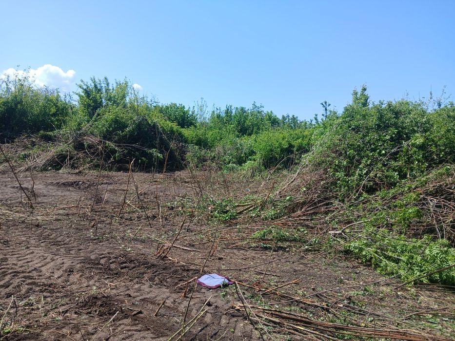 Executam ,Defrisari Demolari