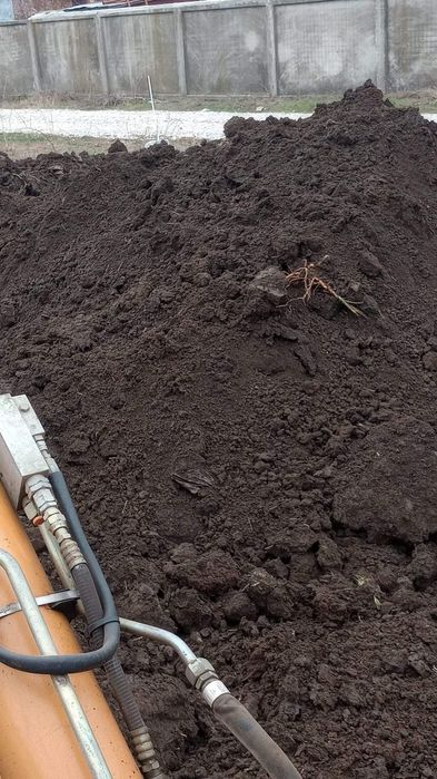 Pamant negru vegetal