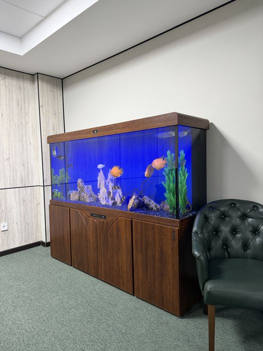 Чистка аквариума | Akvarium tozalash hizmati