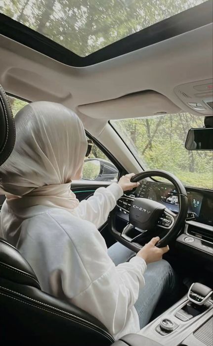 Avtoinstruktor – Vojdeniye darslari, Ayollar uchun, Jentra mexanika