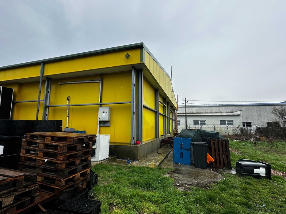 Fabrica de procesare peste si crustacee - Proprietatea Imobiliară Industrială situată în Loc. 23 August Jud. Constanta