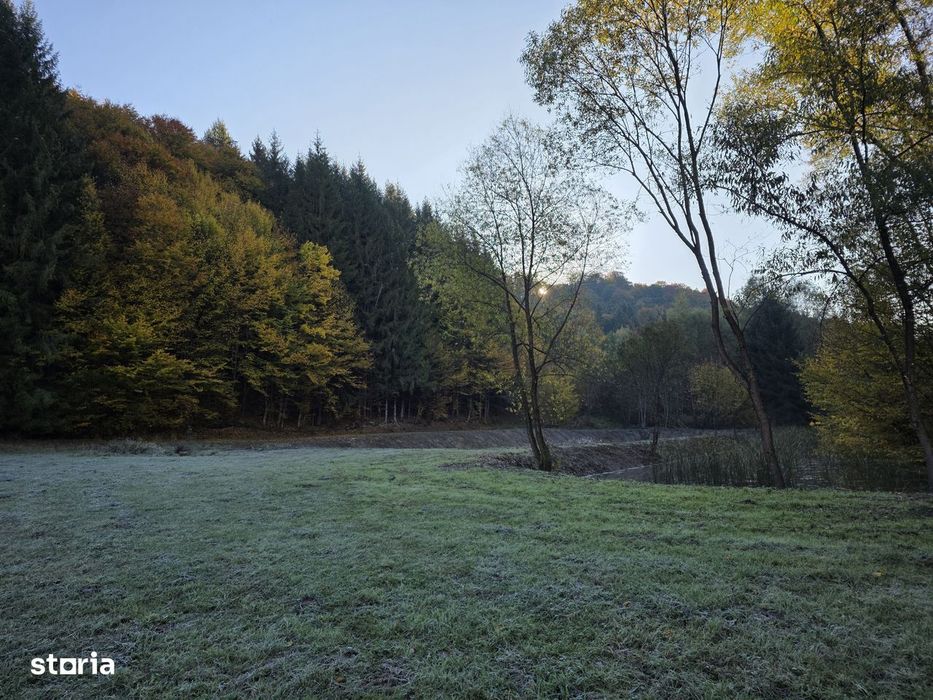Teren superb de 1.14ha cu 2 iazuri și pădure privată, Lighet, Tg Lapus