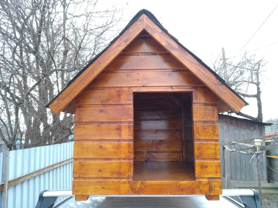 Cușca câine din lemn izolată