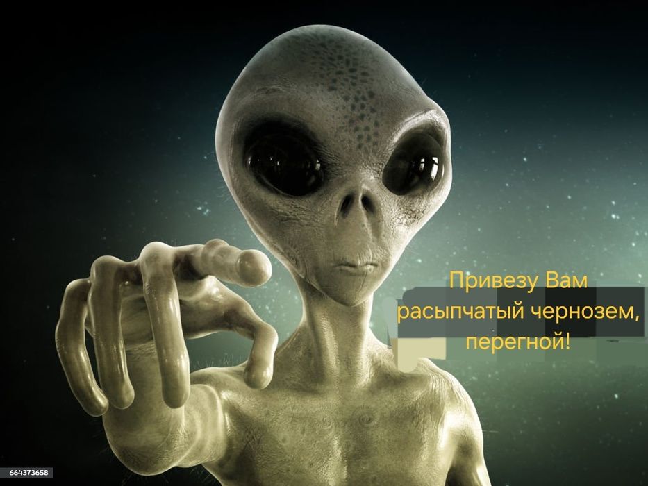 Чернозем, перегной