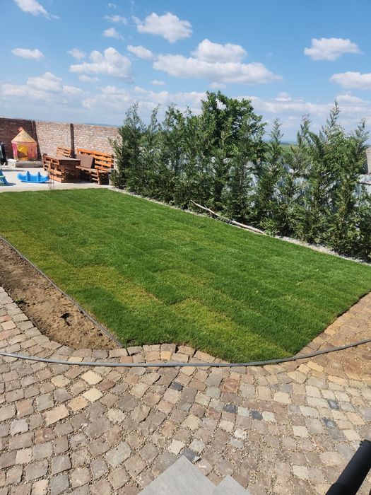 Piatra cubica pavaj curte