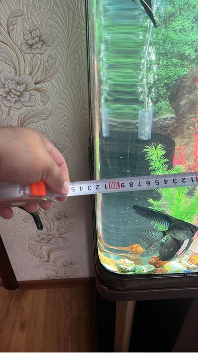 Аквариум заводской 250 литр