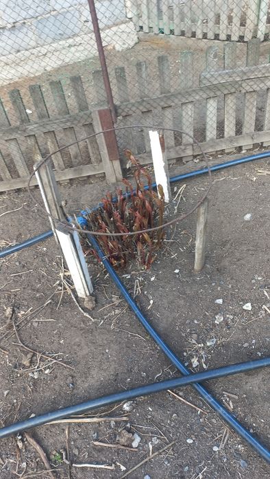 Разводка полива для огорода
