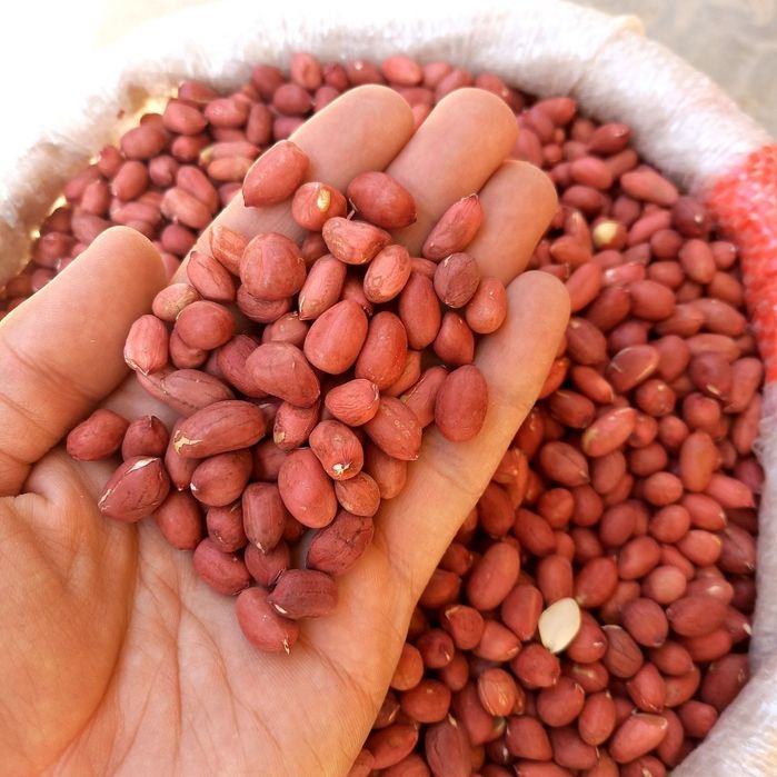 Сырой нежаренный арахис qovurilmagan xom yer yong'oq araxis орехи