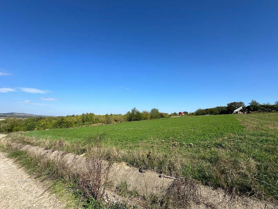 Teren de vanzare in Adancata Suceava 43ari pretabil ansamblu imobiliar