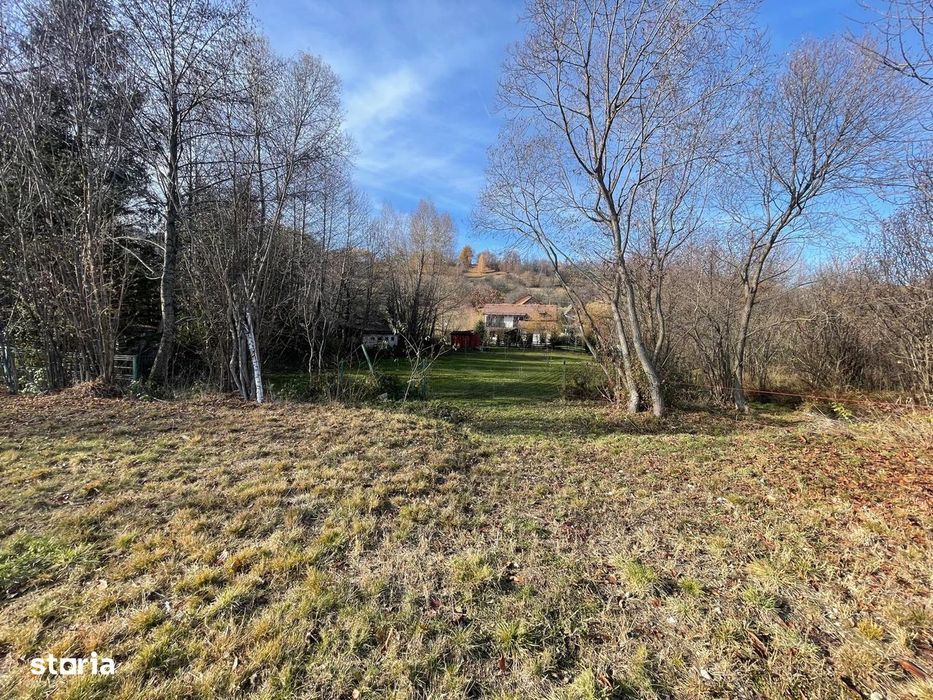 Teren cu pârâu ideal proiect turistic/casa vacanta langa Castelul Bran