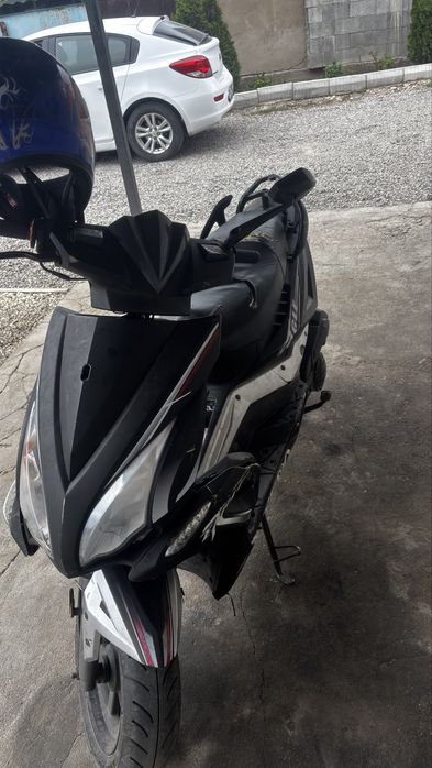 Peda egael 2014 года