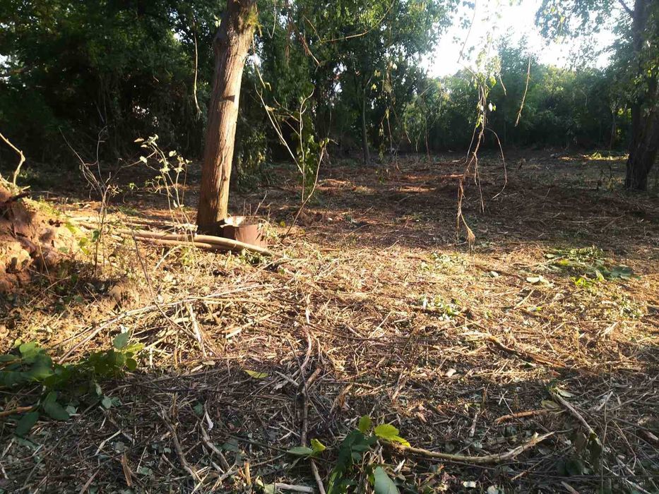 Продава се Парцел в с. Гълъбник, Област Перник - 2000 кв.м за 35 €/кв.м - Снимка #7