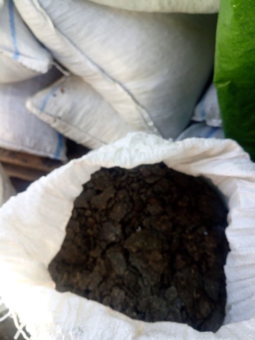 Strot de floarea soarelui